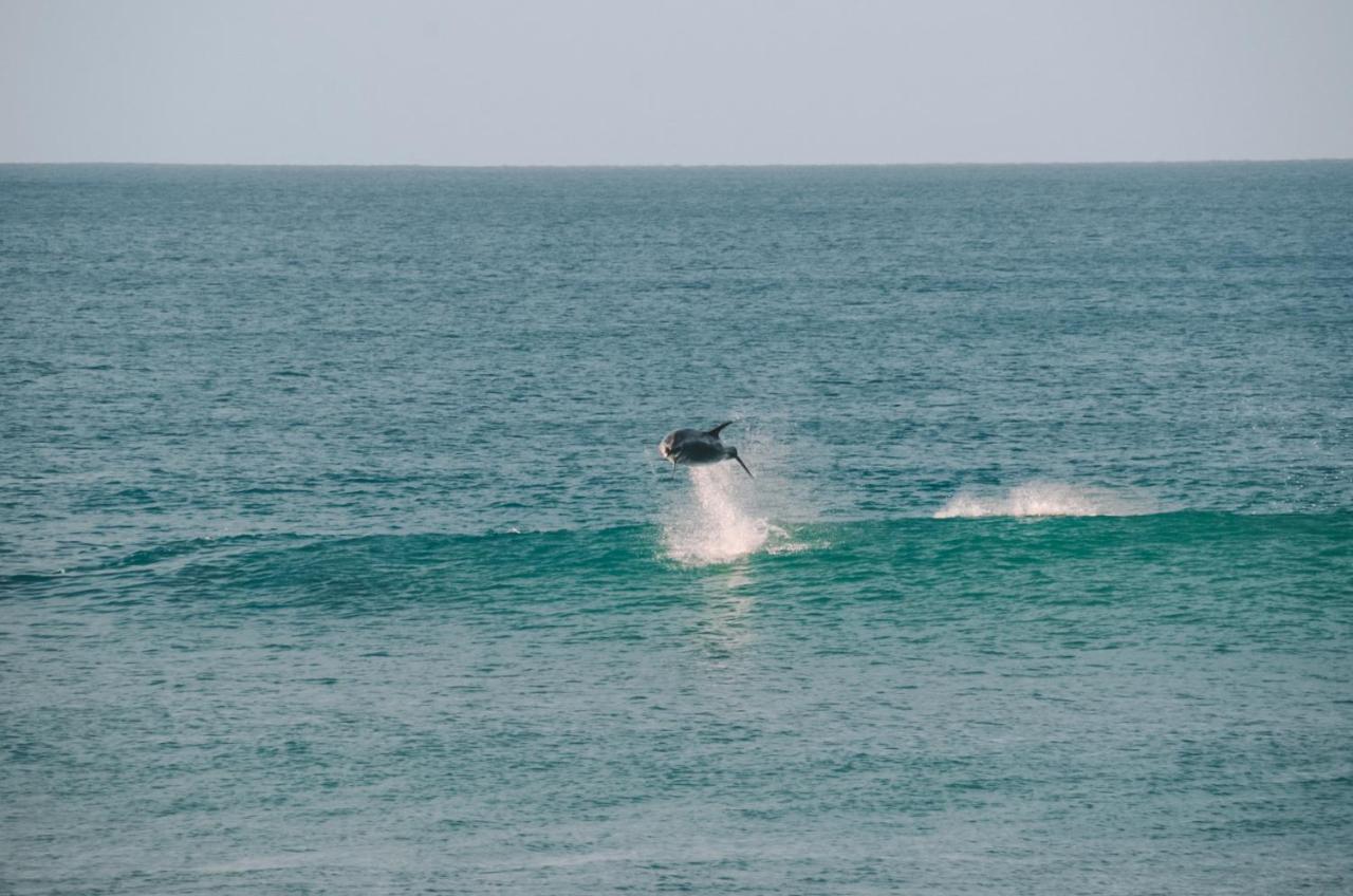 Aotearoa Surf Eco Pods Hotel Te Arai Luaran gambar